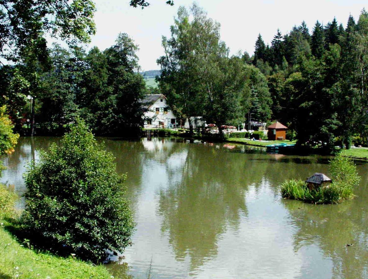 Hotel Gasthof Zum Walfisch Klingenthal Ngoại thất bức ảnh