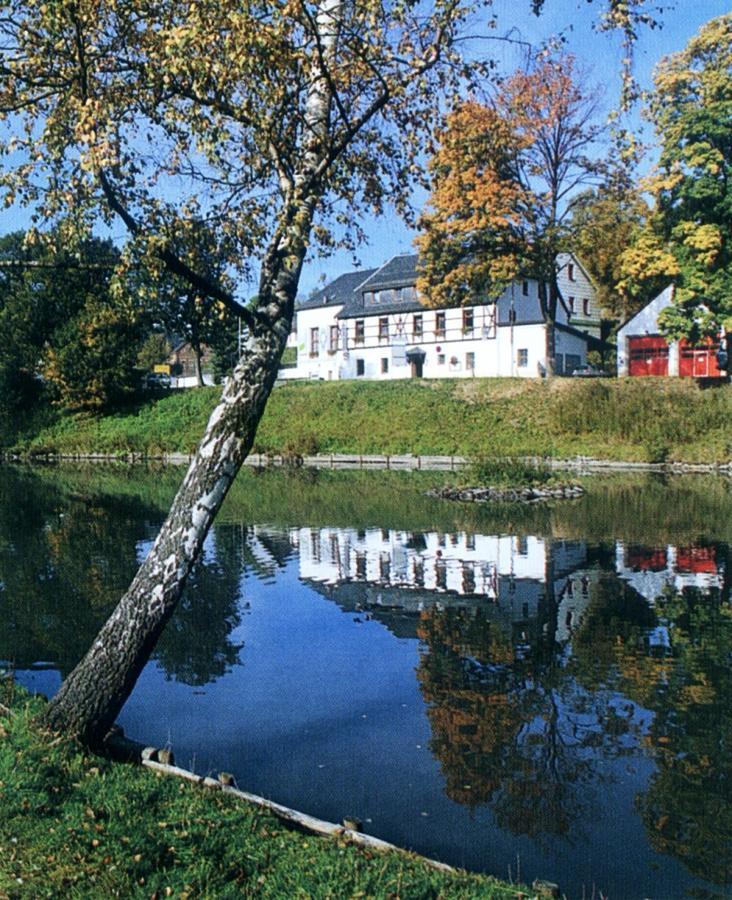 Hotel Gasthof Zum Walfisch Klingenthal Ngoại thất bức ảnh
