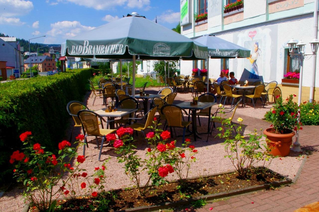 Hotel Gasthof Zum Walfisch Klingenthal Ngoại thất bức ảnh