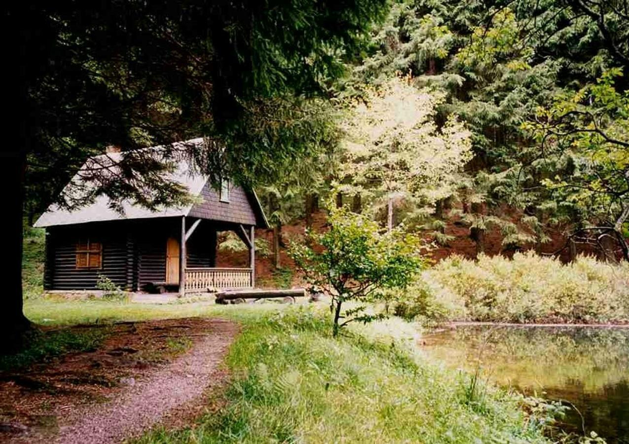 Hotel Gasthof Zum Walfisch Klingenthal Ngoại thất bức ảnh